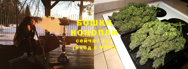 PSILOCYBIN Алексеевка