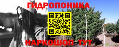 герыч Можга