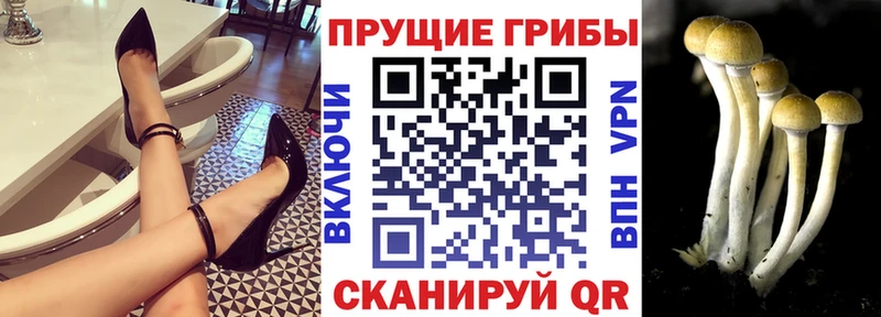 нарко площадка какой сайт  Родники  Галлюциногенные грибы прущие грибы 