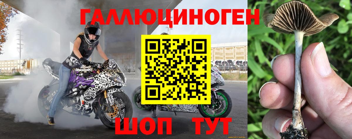 наркота  Псилоцибиновые грибы Psilocybe  Вход с VPN  Родники 